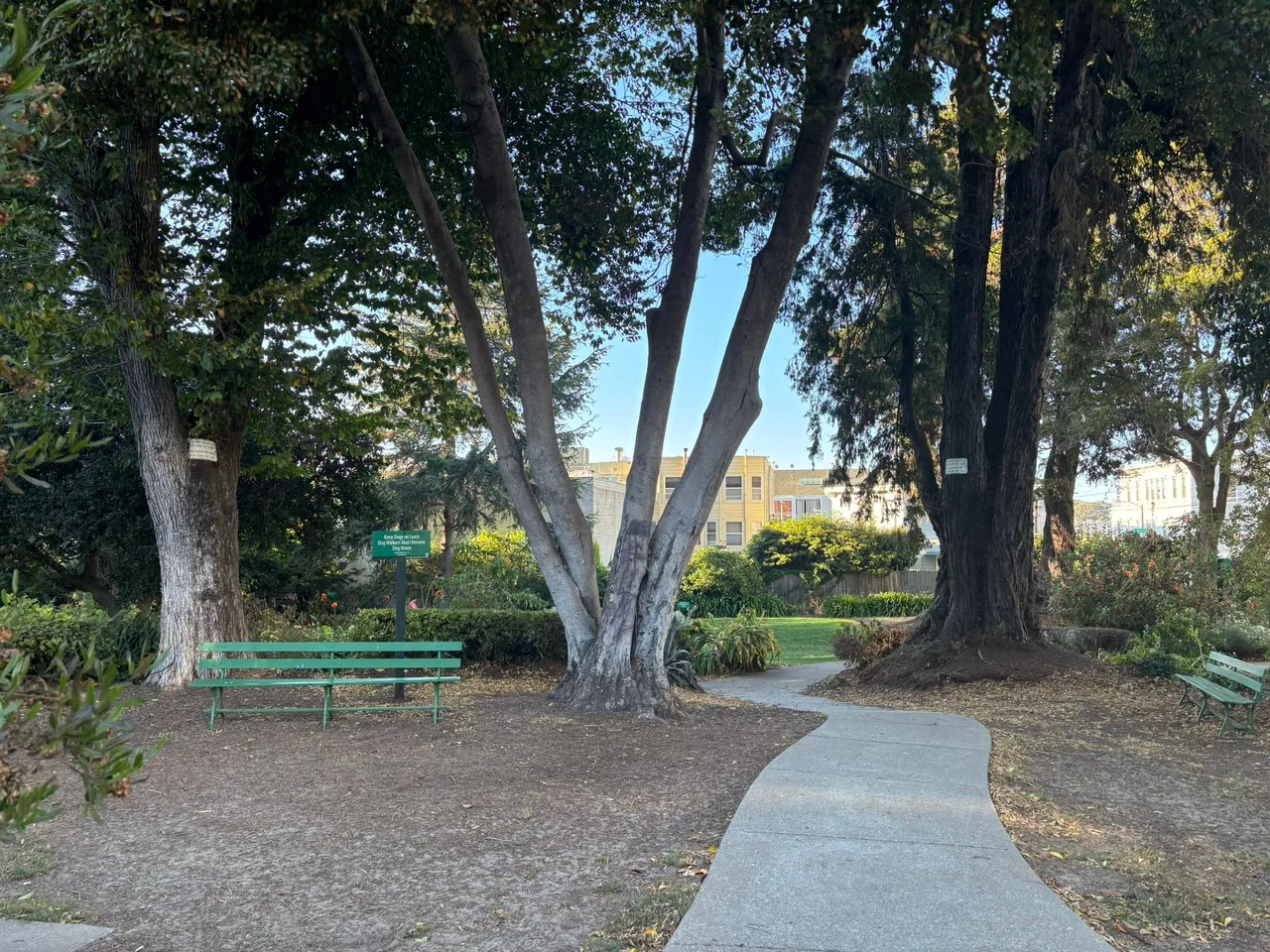A green bench sits next to a cement path. The path is surrounded by a large canopy of trees and leads into a patch of green grass. The blue sky peers through the trees.