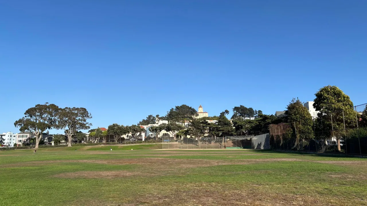Wide grassy playing field bordered by a baseball backstop and neighborhood homes