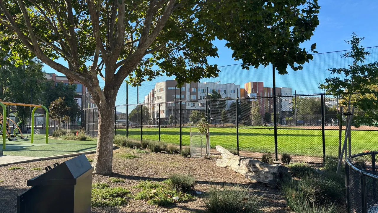 Swings and a fenced green playing field shaded by a broad tree