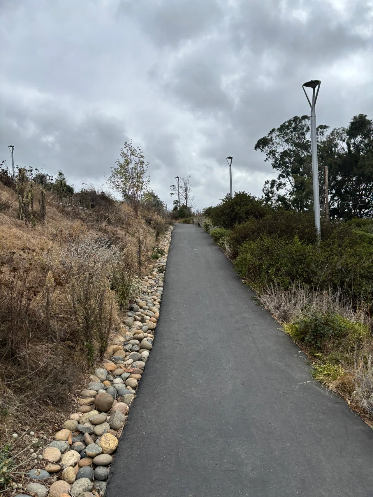 A paved path rises through dry grasses, young trees, and native plantings beneath a cloudy sky.