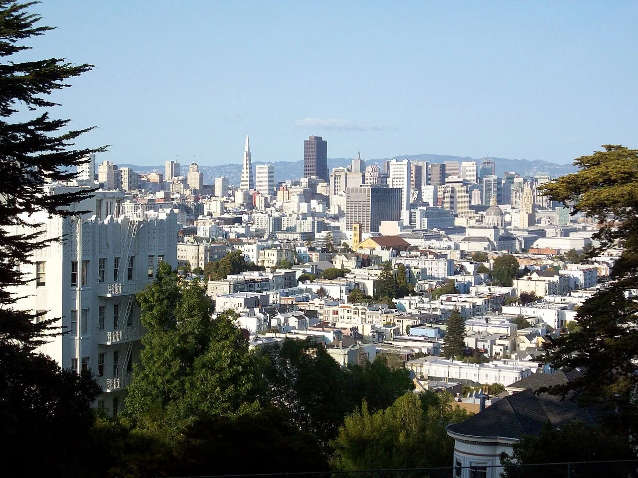 Downtown San Francisco viewed from Buena Vista Park, framed by tall trees and nearby hillside buildings.