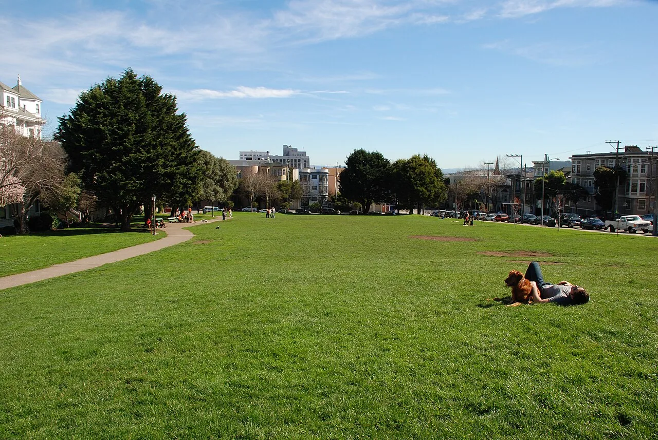 A wide green lawn and curved walking path at Duboce Park, bordered by trees and neighborhood homes.