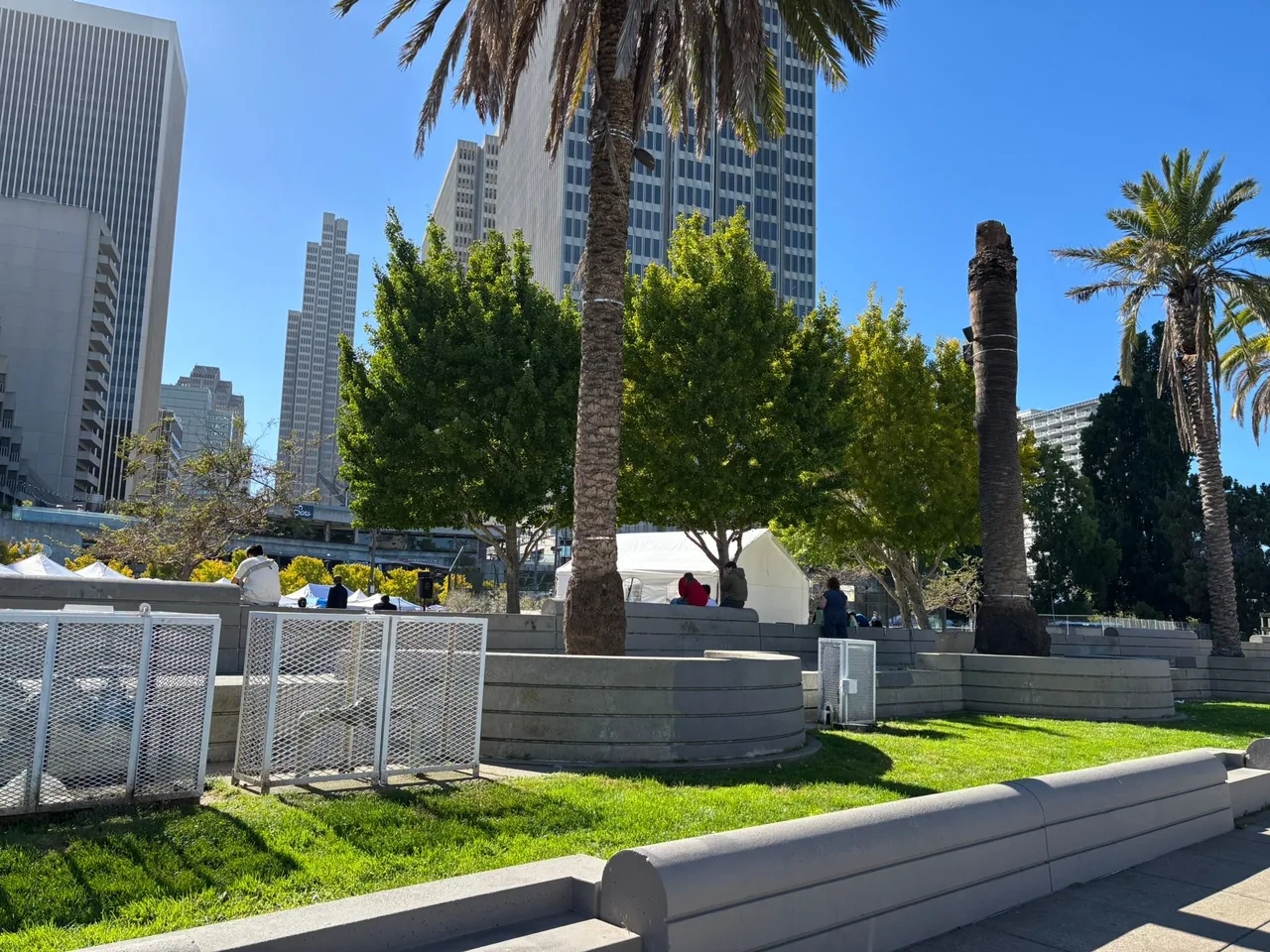 Palm trees stand in concrete planters near caged utility fixtures. In the background, San Francisco buildings stand amid clear blue sky.