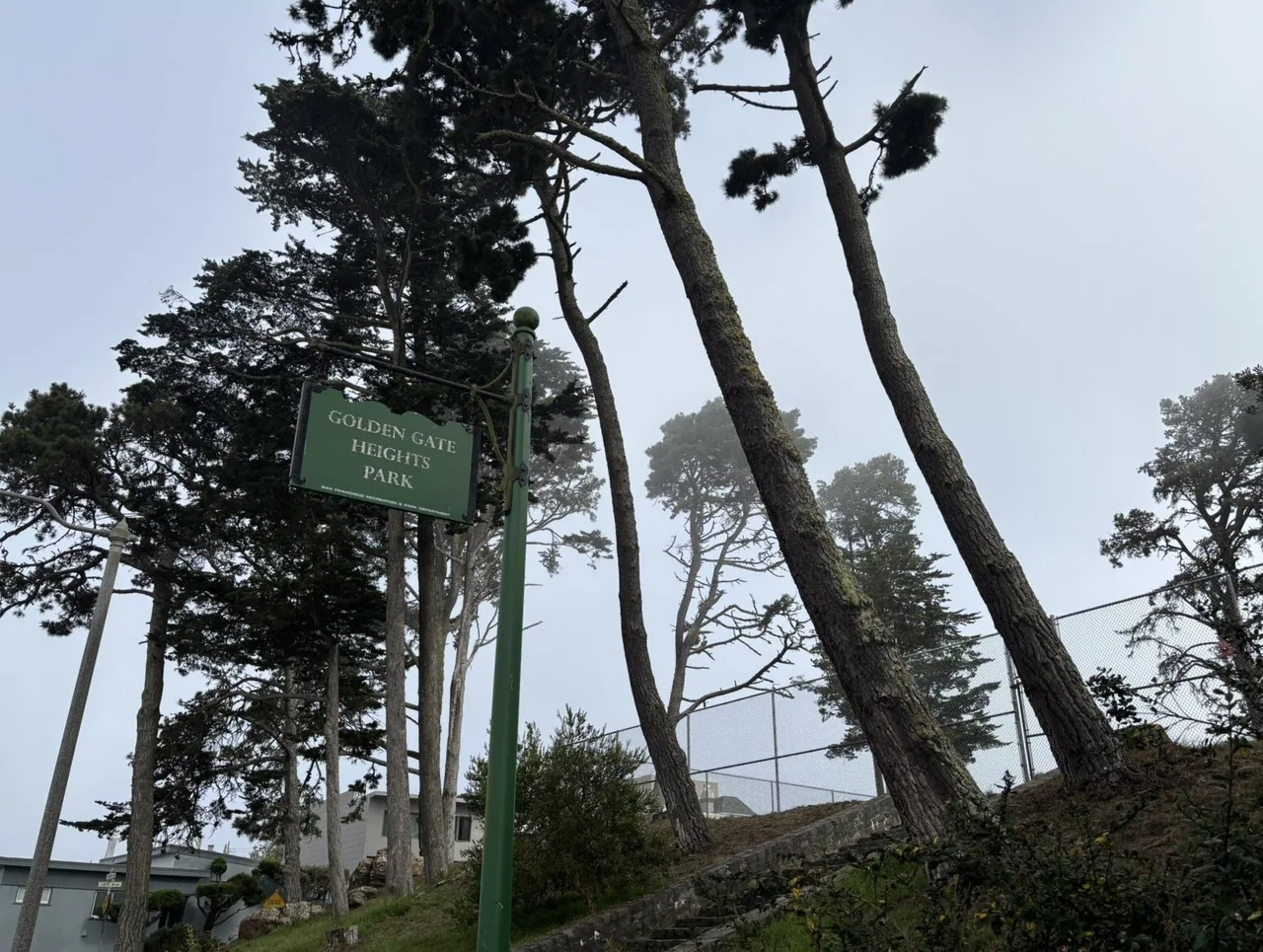 A sign reading "Golden Gate Heights Park" stands in front of a hillside lined with tall trees. The trees have grown at an angle on the hillside.