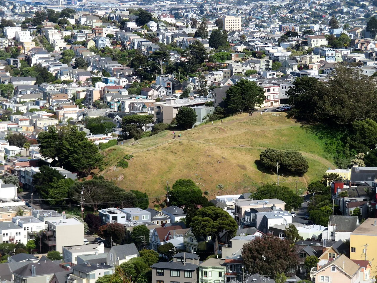 The open grassy slope of Kite Hill surrounded by dense neighborhood housing and trees.