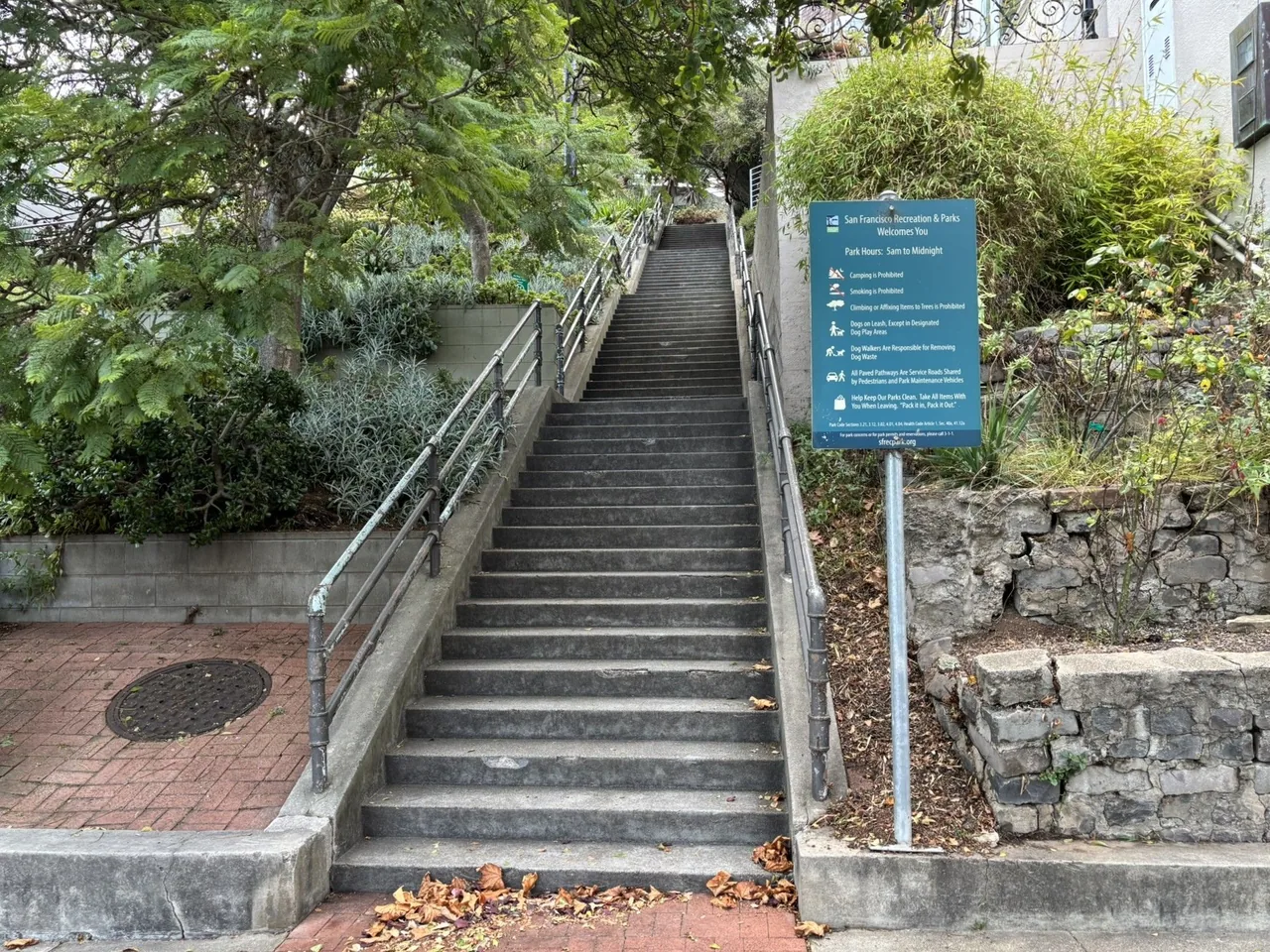 A concrete stairway climbs steeply between trees and residential buildings at the Saturn Street Steps.
