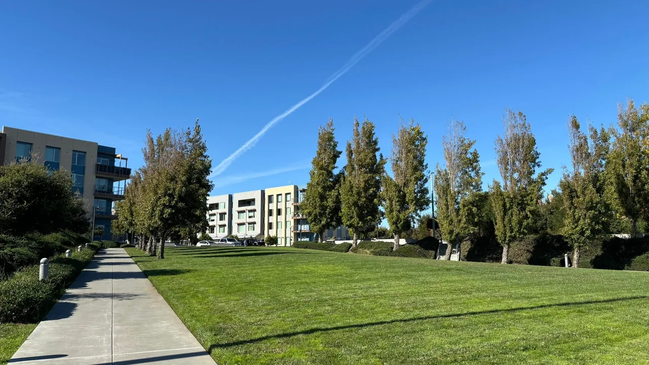 Long lawn and row of slender trees beside a sidewalk and apartment buildings