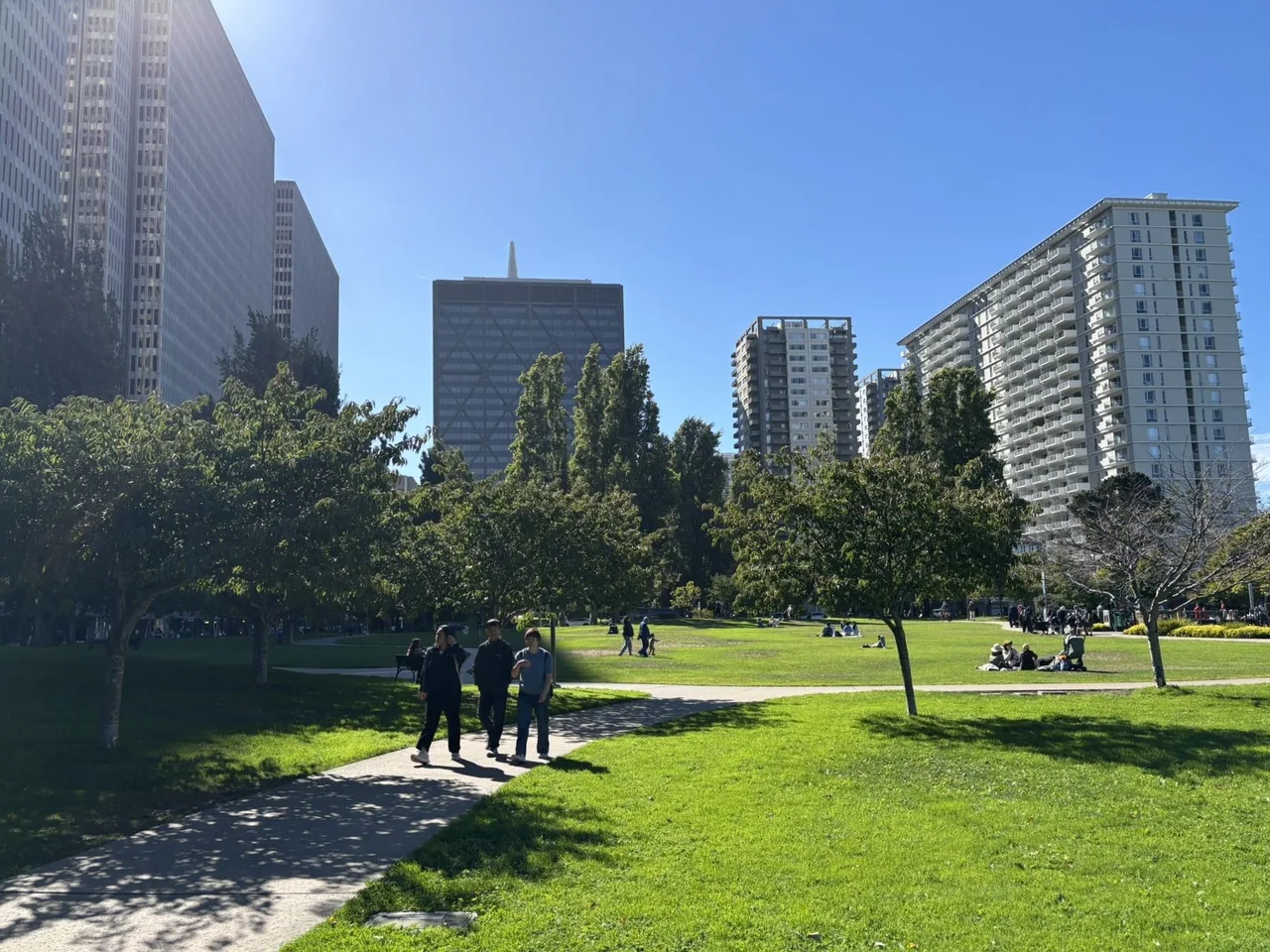 Three young men walk down a path in a large city park near small trees. In the background, a large park ground unfurls in front of a city skyline.