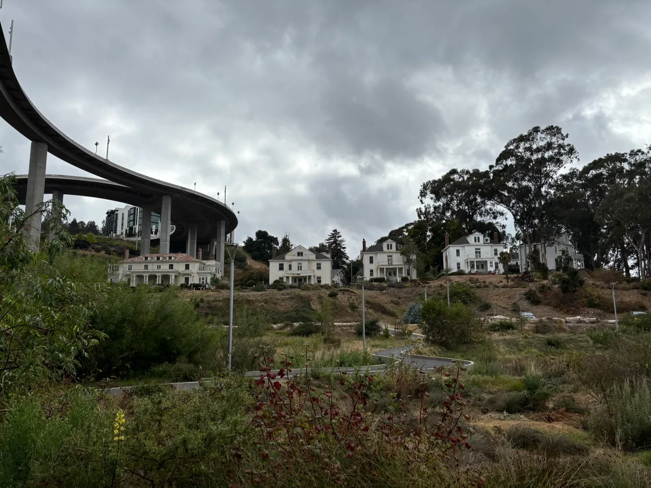 Low garden plantings and young trees fill Willow Bridge Gardens beneath an elevated roadway and hillside homes.